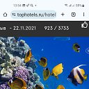 ���� �����, ����������� - ��������� 26 ������ 2024 � ������ ������ ��������