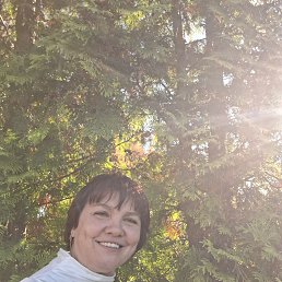 , 50, 