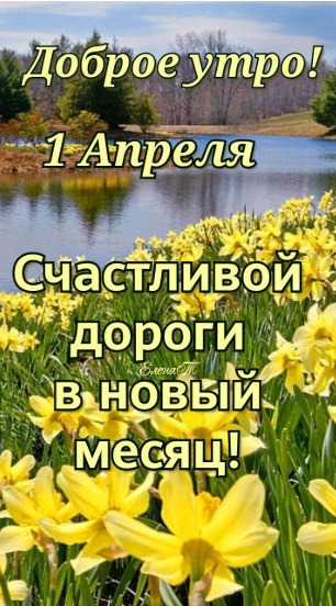 �������� �� ����� ����. - 1 ������ 2026 � 10:21