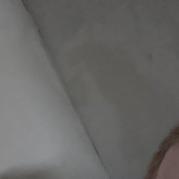 �����, ������-��-����, 47 ���