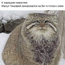 ���� ����, ��������� - ��������� 1 ������� 2025 � ������ ������ ��������