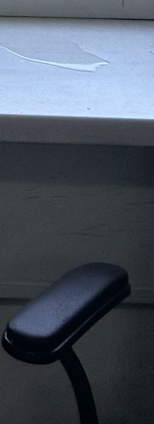 ������, ���������, 55 ���