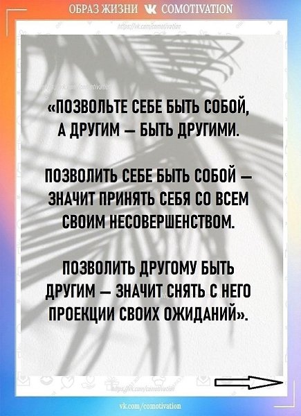 ����� ������: 