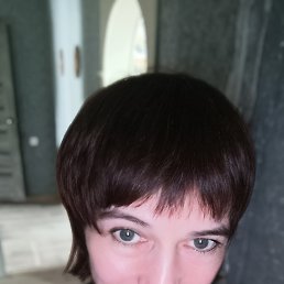 ���� ������, ����, 46 ��� - ��������� 5 ������ 2026