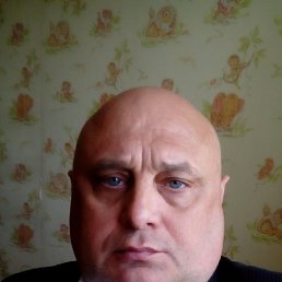 ���� ������, �����, 56 ��� - ��������� 23 ������ 2026