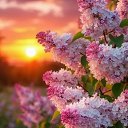 ���� ����, ������ - ��������� 3 ��� 2026 � ������ ������ ��������