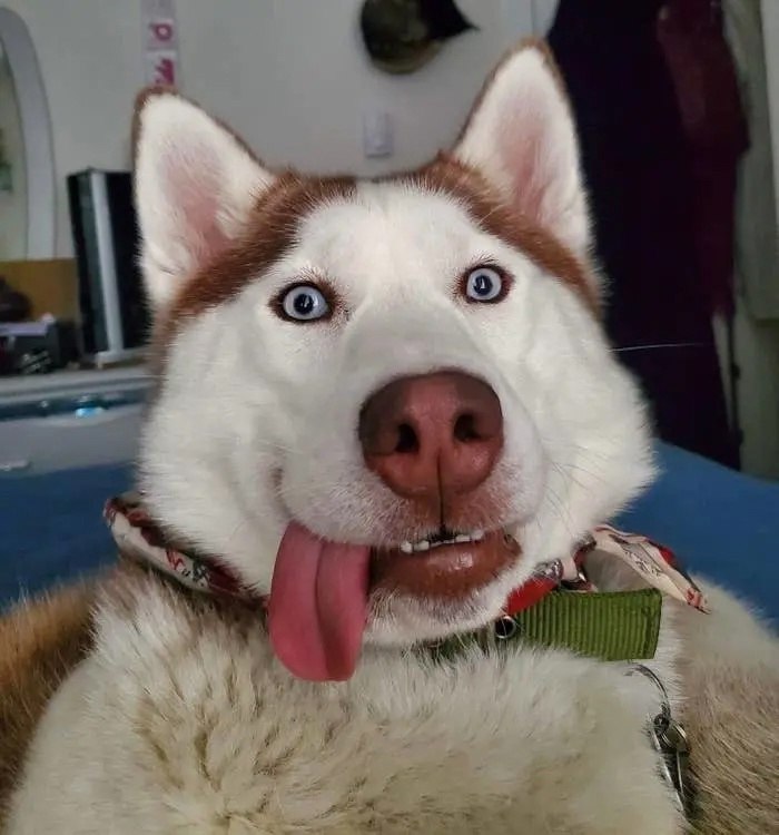  ,   