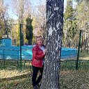 ���� �������, �������� - ��������� 17 ������� 2023 � ������ ���� ����������