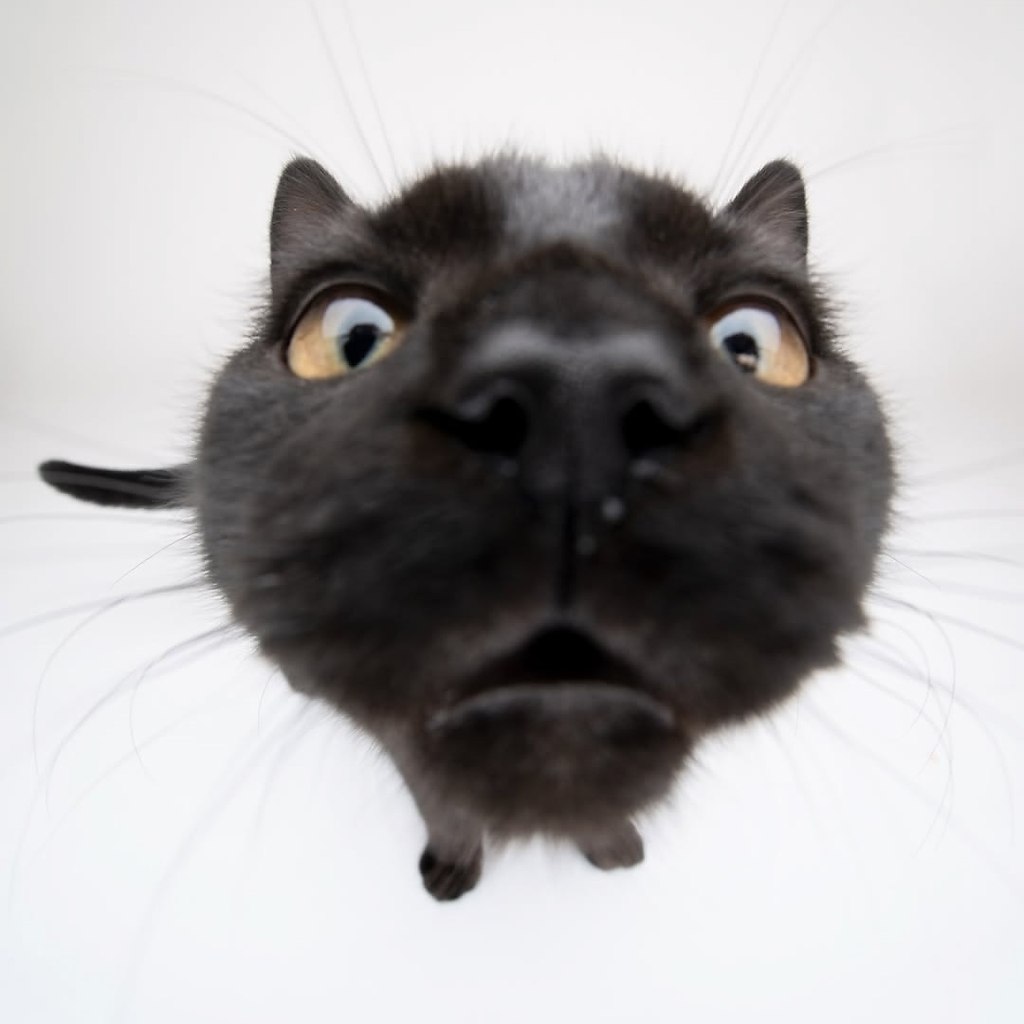   -  , ,     .   : ... - 9