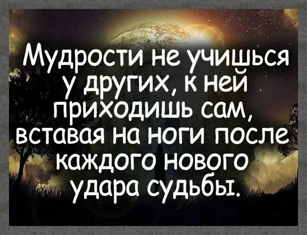 ☆ ☆ - 5  2025  08:37