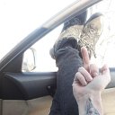 ���� ����, �����������-��-�����, 50 ��� - ��������� 20 ������� 2024