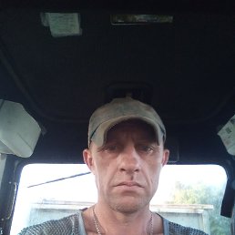 , 41, 