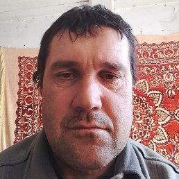 �����, ������, 44 ����