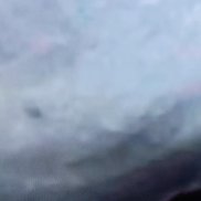 ������, 54 ����, ������