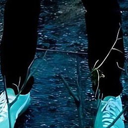 �����, ������ ��������, 36 ���