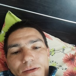 , 37, 