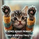 ���� �����, ���� - ��������� 9 ��� 2025 � ������ ���� ����������