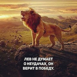 ������, ������, 35 ���