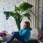 Vika, 29 ���, ����