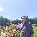 ���� ������, �����-���������, 79 ��� - ��������� 31 ������� 2025 � ������ ���� ����������