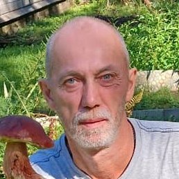 �����, �����-���������, 62 ����