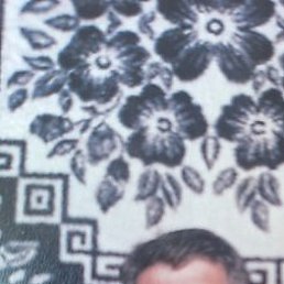 ���������, ��������, 58 ���