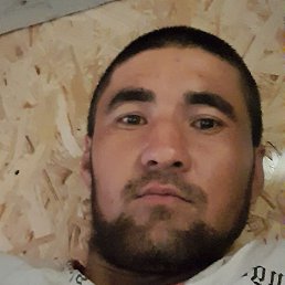 ������, �������, 29 ���