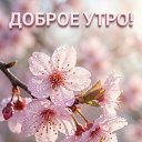 ���� �������, ���� - ��������� 4 ��� 2026 � ������ ������ ��������