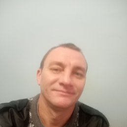 ���������, 41 ���, ���������