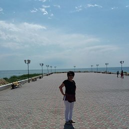 , 53, 