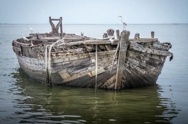 :) � 2015 ���� �������� �� �������������� ������ ����� � ������ ������� ������������ �������� ...