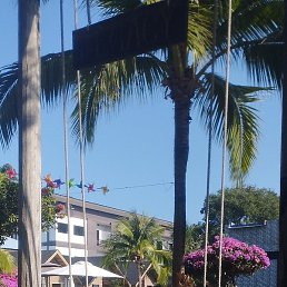 �����, ������ ��������, 52 ����