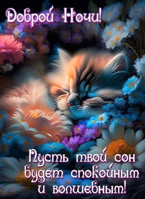   ,    . - 12  2025  20:26