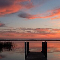 �������, ������, 47 ���