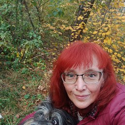 ���� ����, ������ ��������, 53 ���� - ��������� 14 ����� 2026