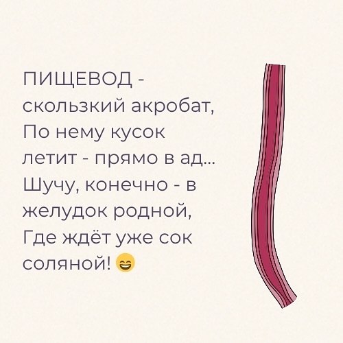 То, что мы едим, и есть мы - 3