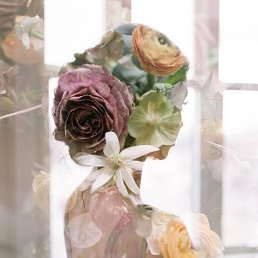 �������, ���������, 48 ���