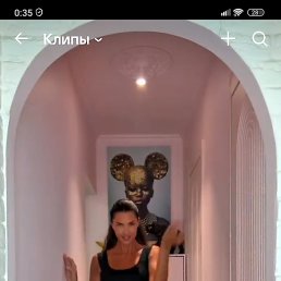 , 29, 