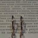 ���� �����, �������, 41 ��� - ��������� 16 �������� 2024 � ������ ���� ����������