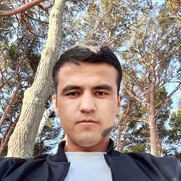 , 33, 