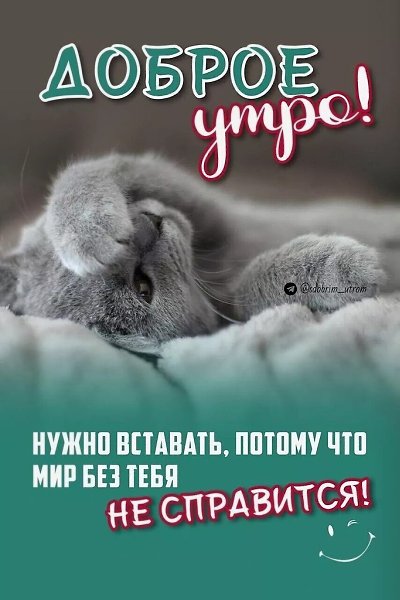 ₪╬═►  ||  ||  ◄═╬₪ - 15  2024  06:47