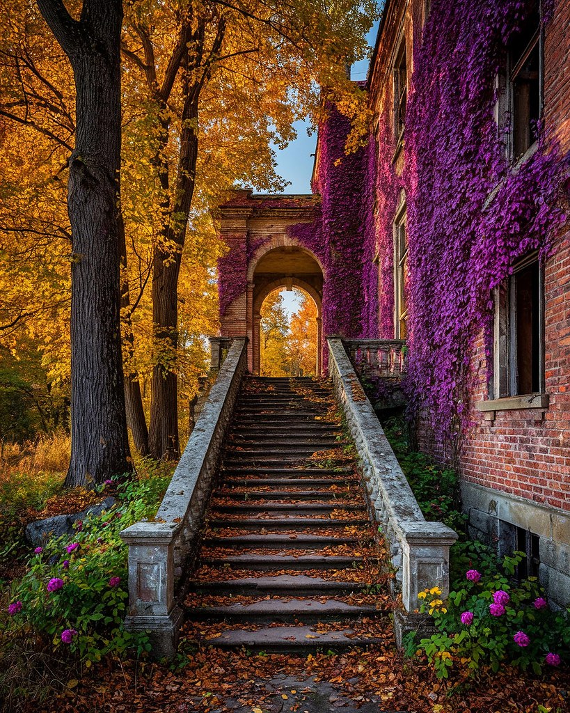   - 9  2025  08:31 - 3