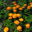 ���� �������, ����-�����������, 66 ��� - ��������� 13 ������ 2025 � ������ ����������.�