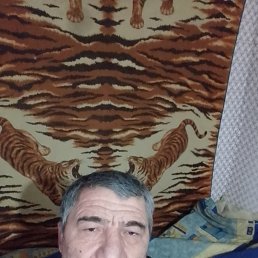 ���� ��������, ������, 62 ���� - ��������� 24 ��� 2025