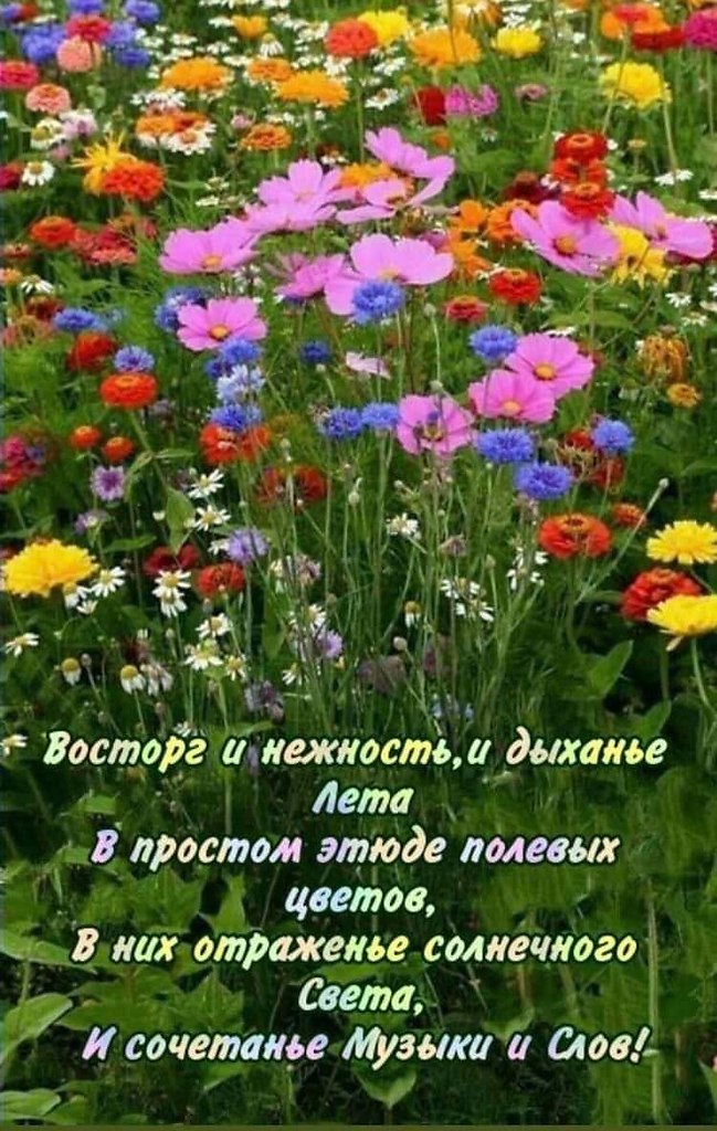  - 22  2024  07:02