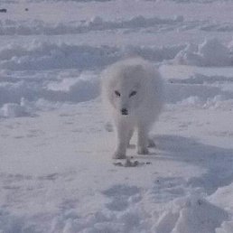 ���� �����, ��������, 53 ���� - ��������� 20 ������ 2024