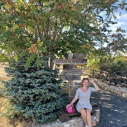 ���� �����, �����, 41 ��� - ��������� 11 ������ 2026