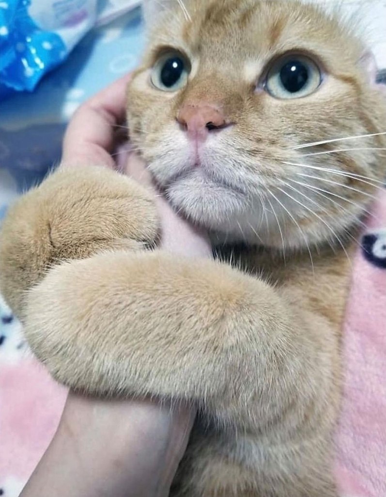 , ,  ,     -   .      ,  ...