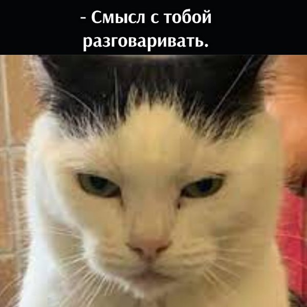 ��� ���� � ����� �� �� - 31 ������� 2025 � 12:30 - 4