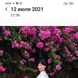  , , 48  -  28  2025